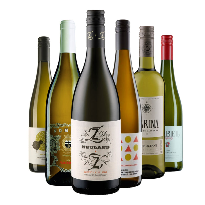 Kennenlernpaket Internationale Weißwein-Momente Weinpaket - Spree Gourmet